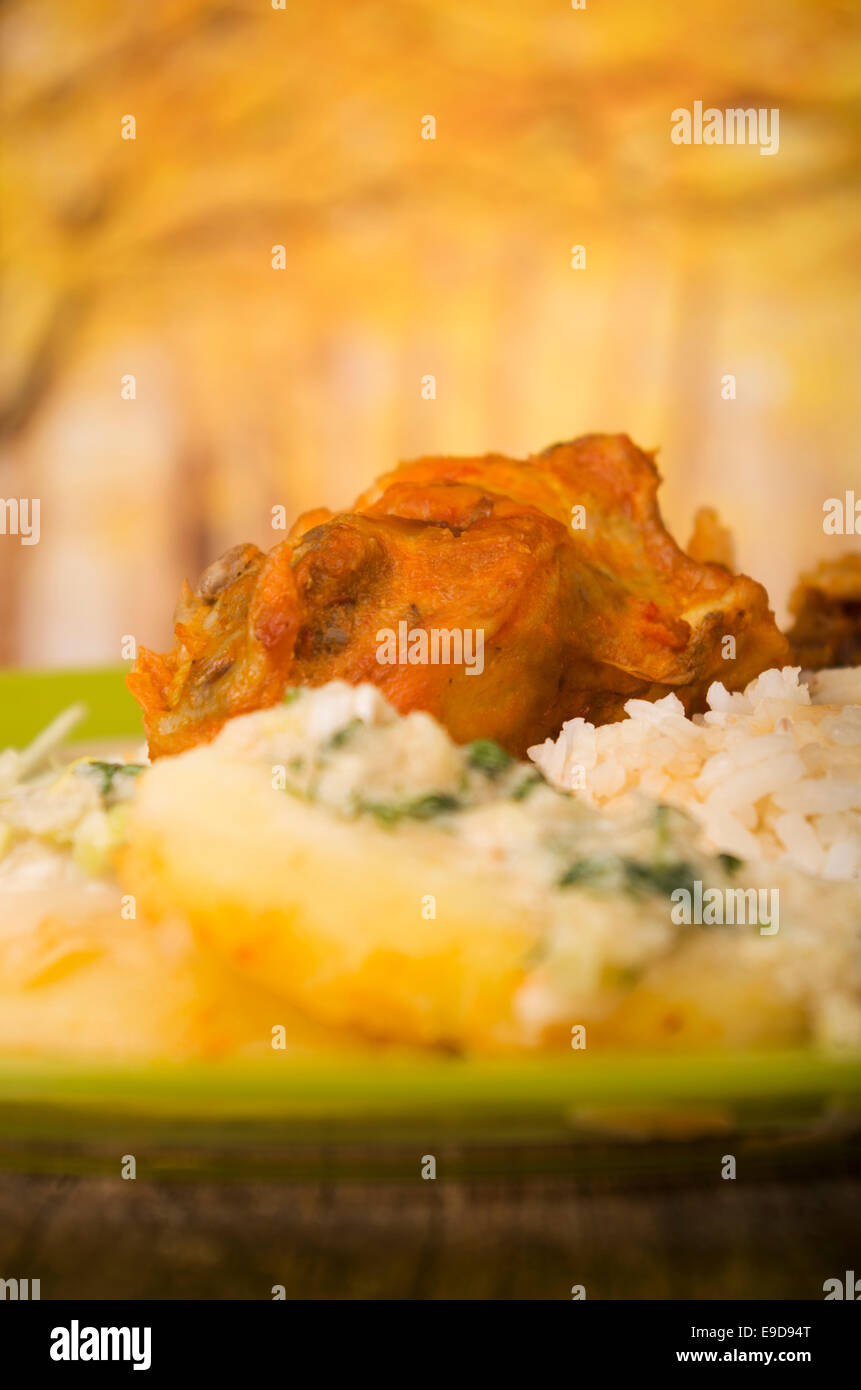 chicken served with white rice potato on a plate Stock Photo - Alamy