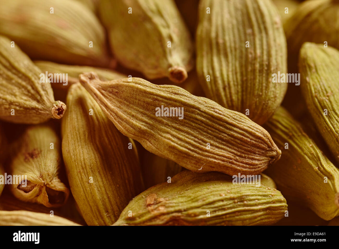Green Cardamom Pods Stock Photo Alamy