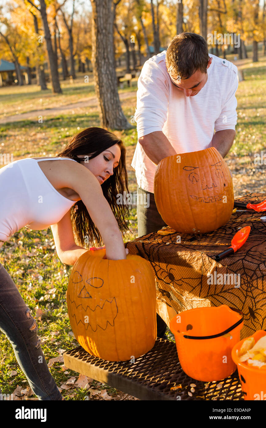 Carving big orange pumpkins for Halloween in late Autumn Stock Photo ...