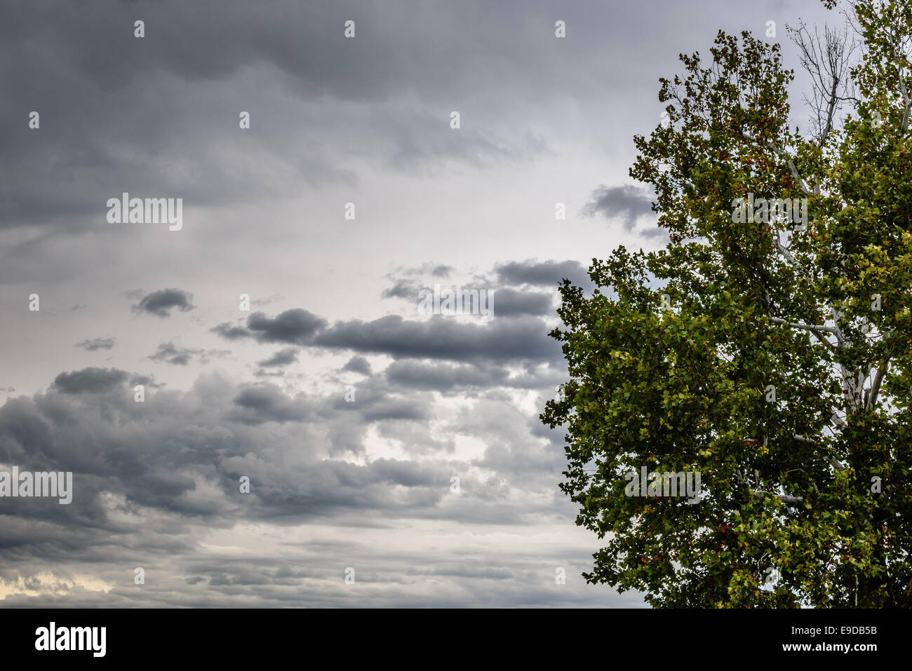 Storm clouds forming over downtown Springfield, Missouri Stock Photo