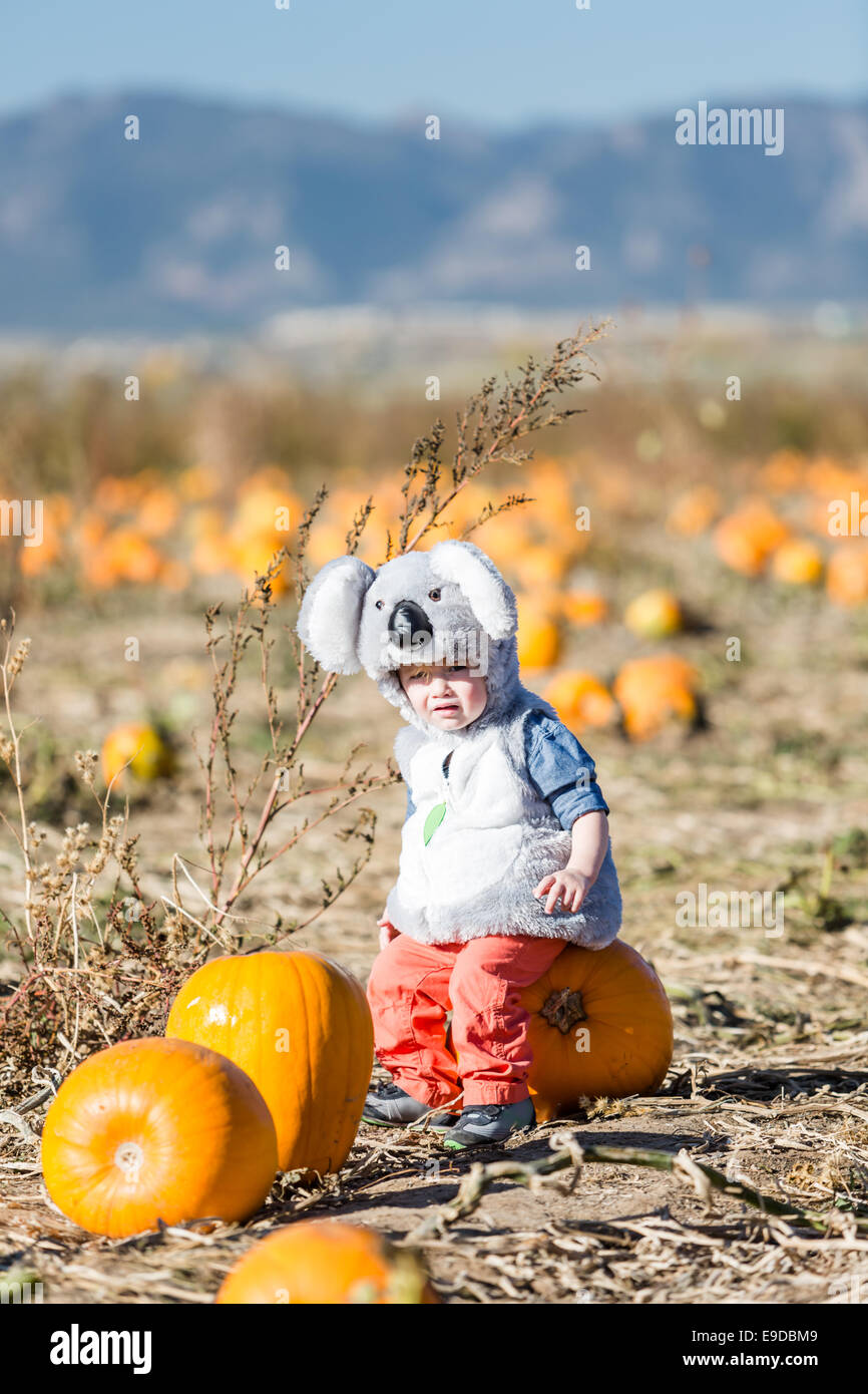 Cute Kids In Halloween Costumes At The Pumpkin Patch Stock Photo Alamy