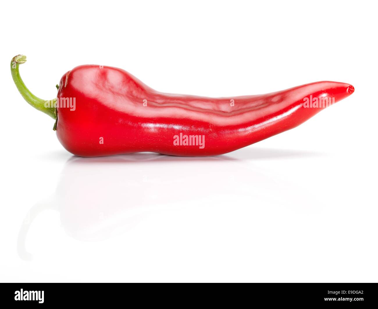 A red hot pepper on the white background Stock Photo