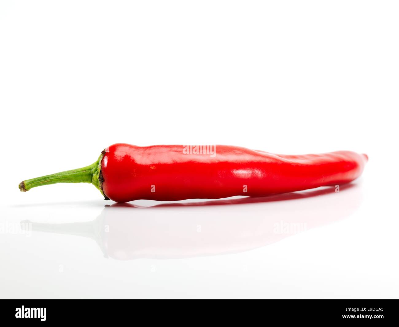 Red hot pepper on the white background Stock Photo