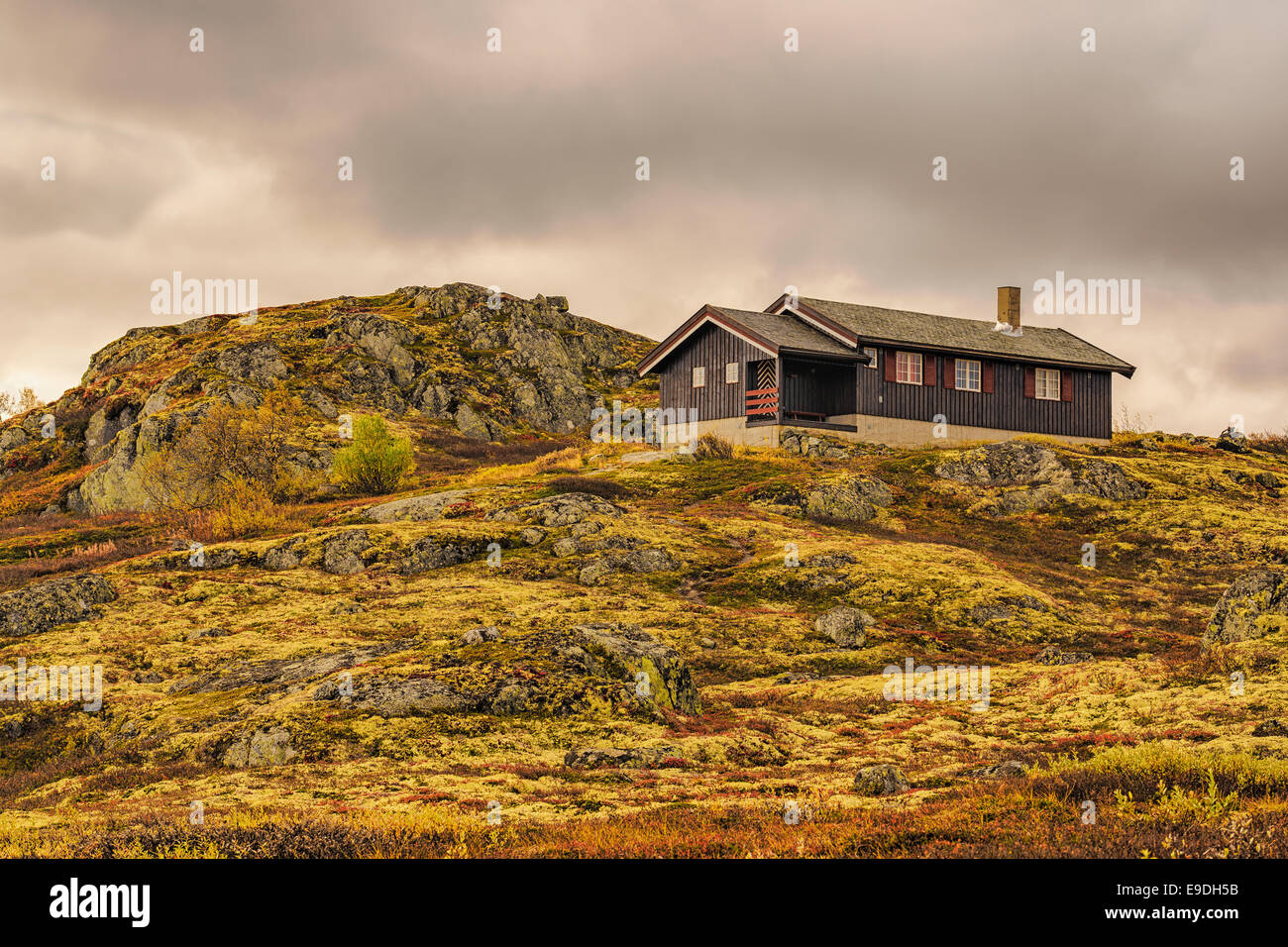 Cabin on a rocky hill in Hardangervidda National Park, Norway Stock Photo