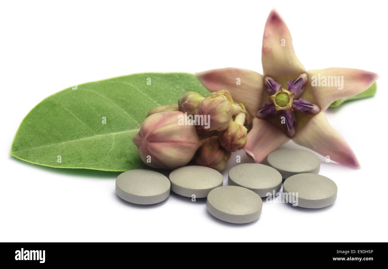Medicinal Crown flower with pills over white background Stock Photo