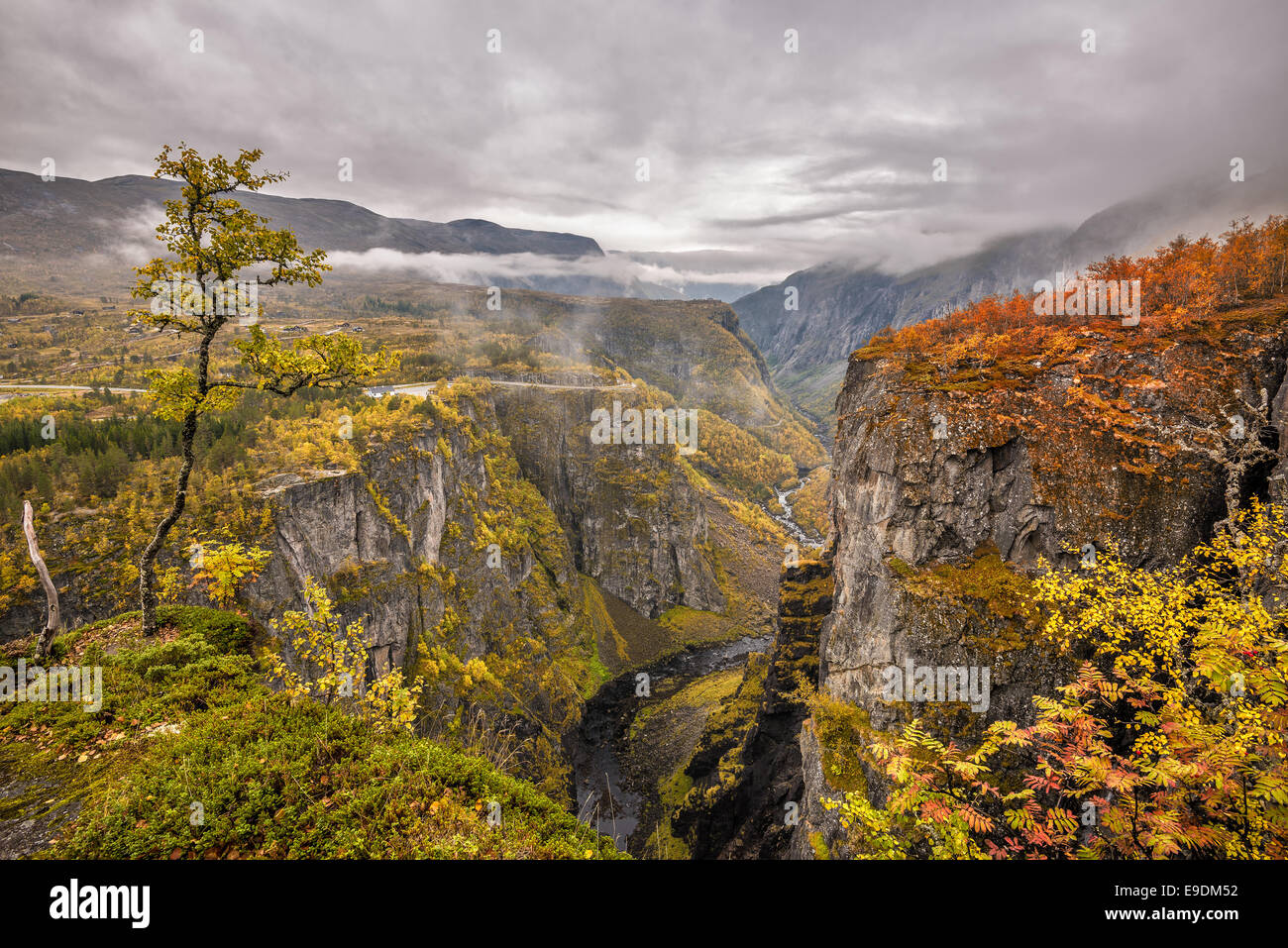 Mabodalen valley situated betwen Hardangervidda and Hardangerfjord National Parks,  in the municipality of Eidfjord, Norway Stock Photo