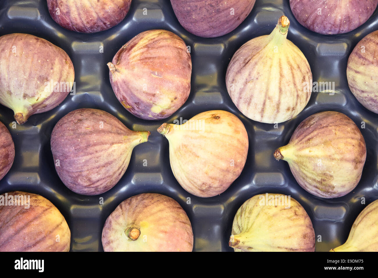 figs hires stock photography and images Alamy