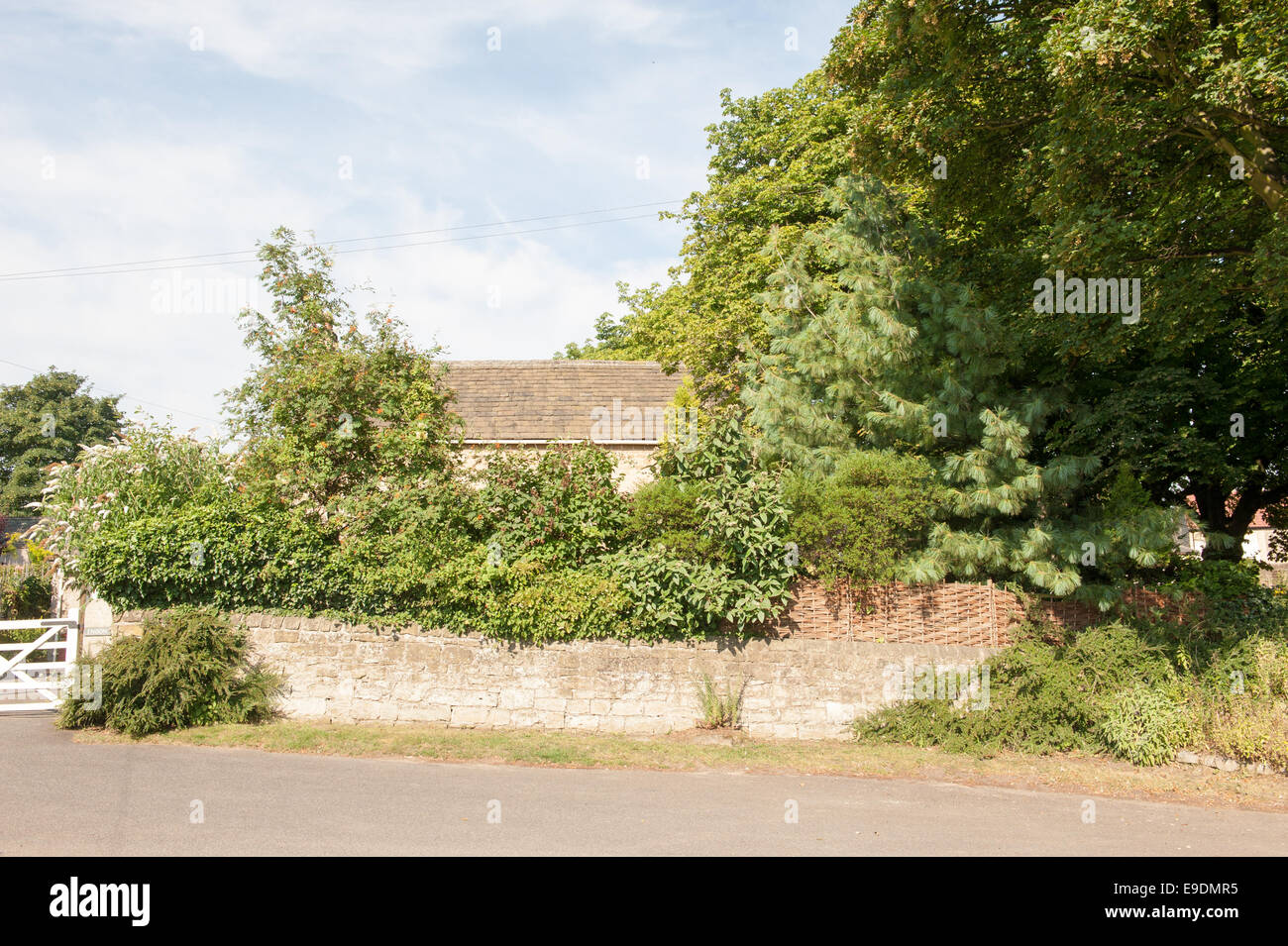Stone wall and dense greenery surrounding a rural village property ...