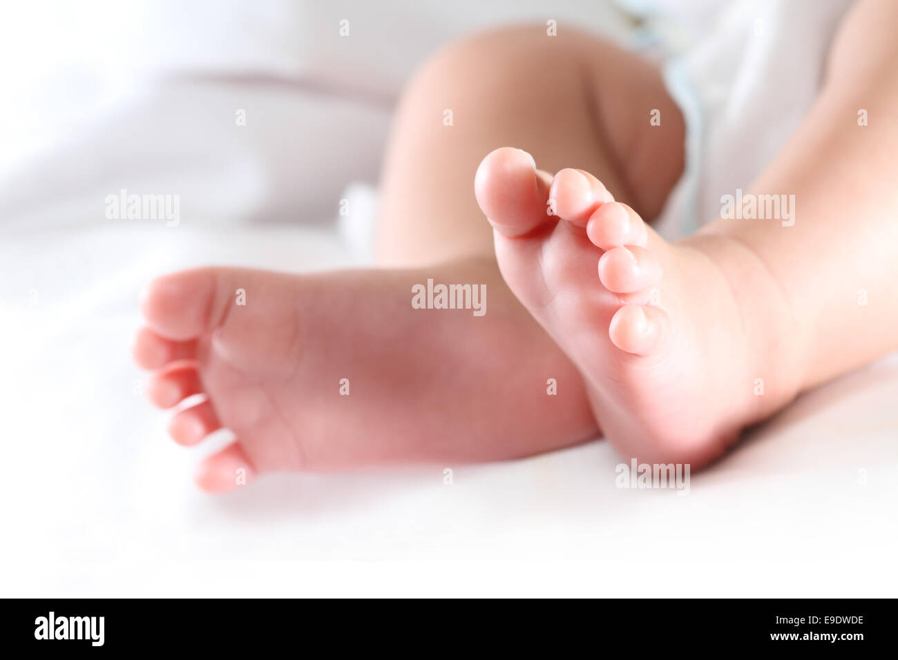 Newborn baby feet close up. Stock Photo