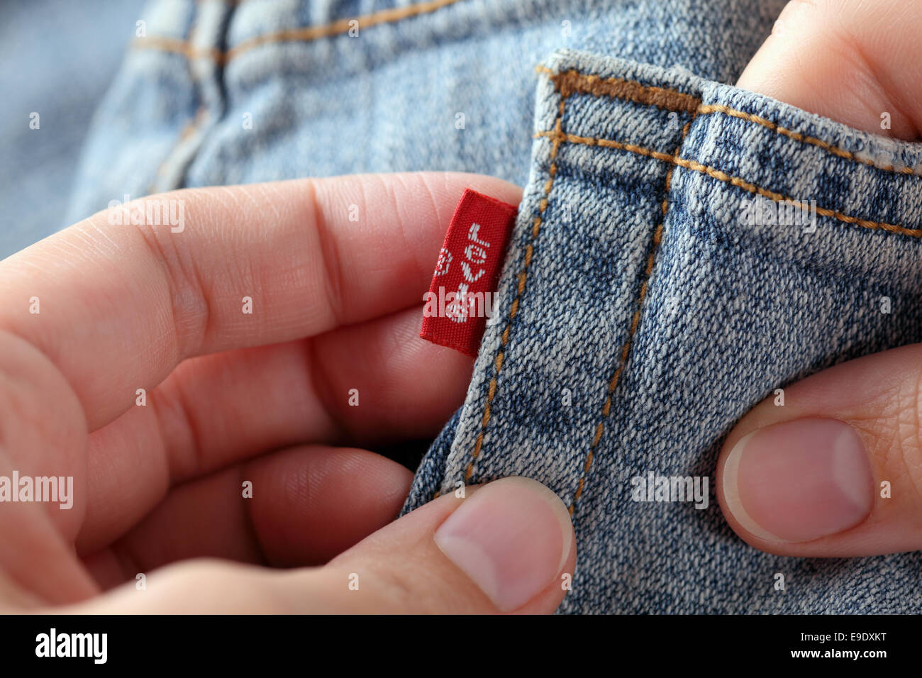 Tambov, Russian Federation - October 21, 2012 Woman's hands holding red label logo of a pair Levi's Jeans. Studio shot. Stock Photo