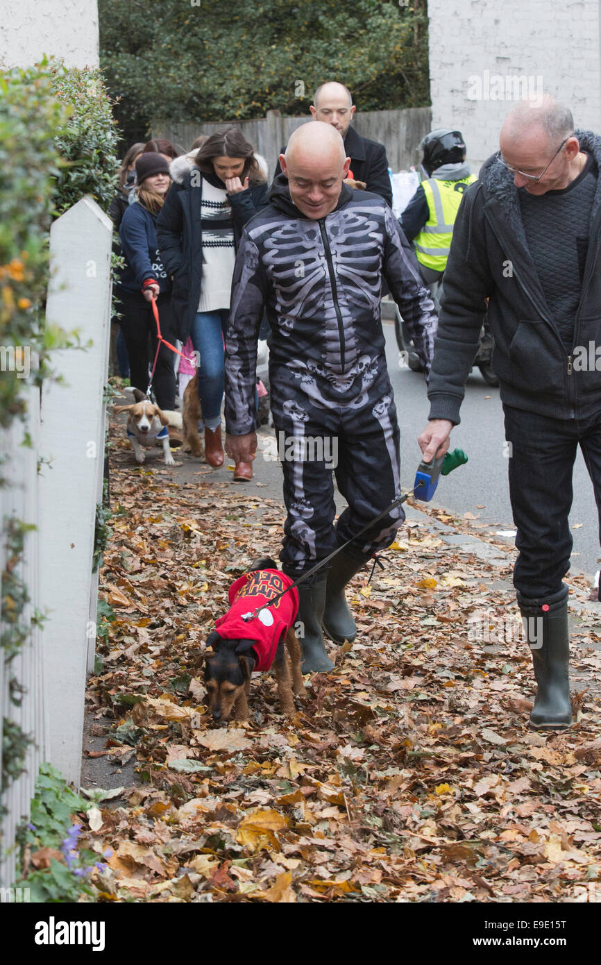 London, UK. 26 October 2014. Dogs dressed in Halloween costumes and their owners, some also in costume, gathered at the Spaniard's Inn pub before embarking on the annual Halloween Dog Walk on Hampstead Heath organised by animal charity 'All Dogs Matter'. Credit:  Nick Savage/Alamy Live News Stock Photo