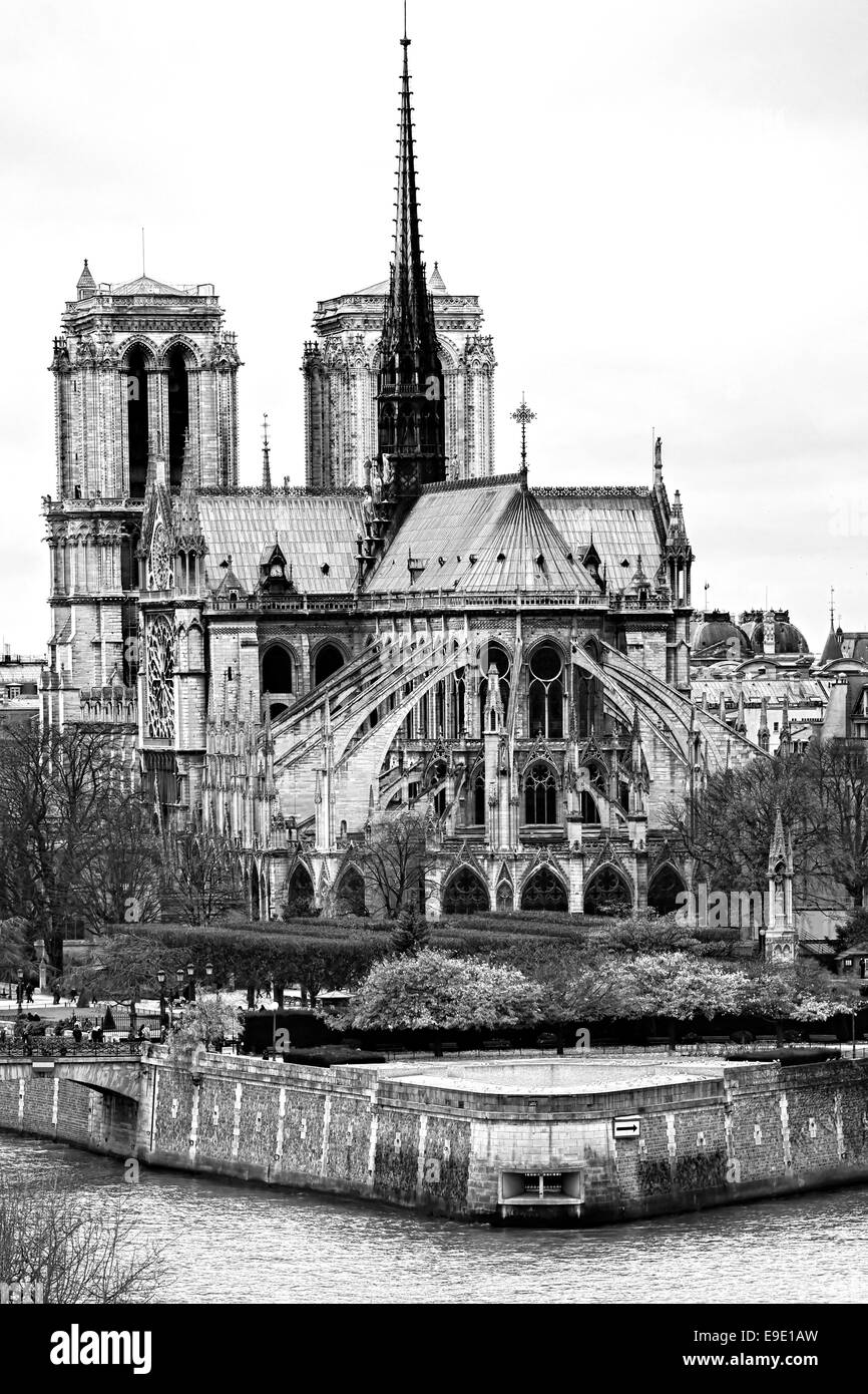 Cathedral of Notre dame de Paris, France. Stock Photo