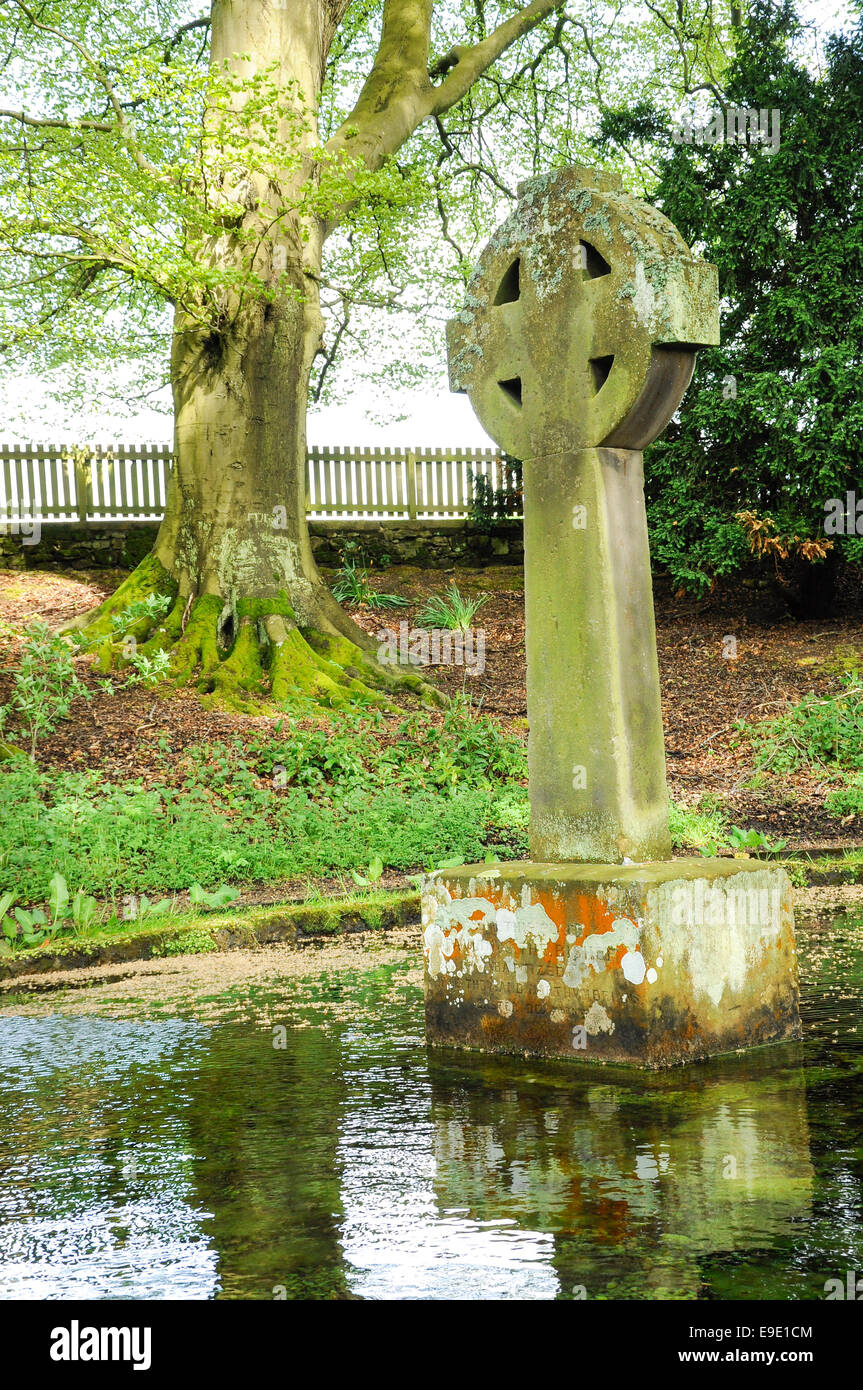 Ladys Well — Ballingaddy North