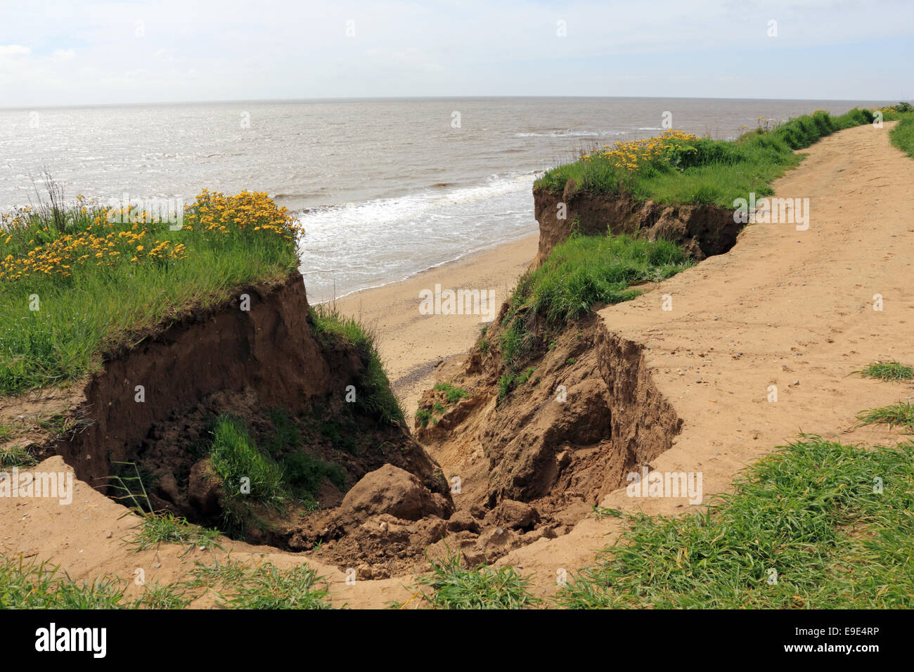 Landslip caused by coastal erosion to the sandstone cliffs between Benacre and Covehithe, Suffolk, England, UK Stock Photo