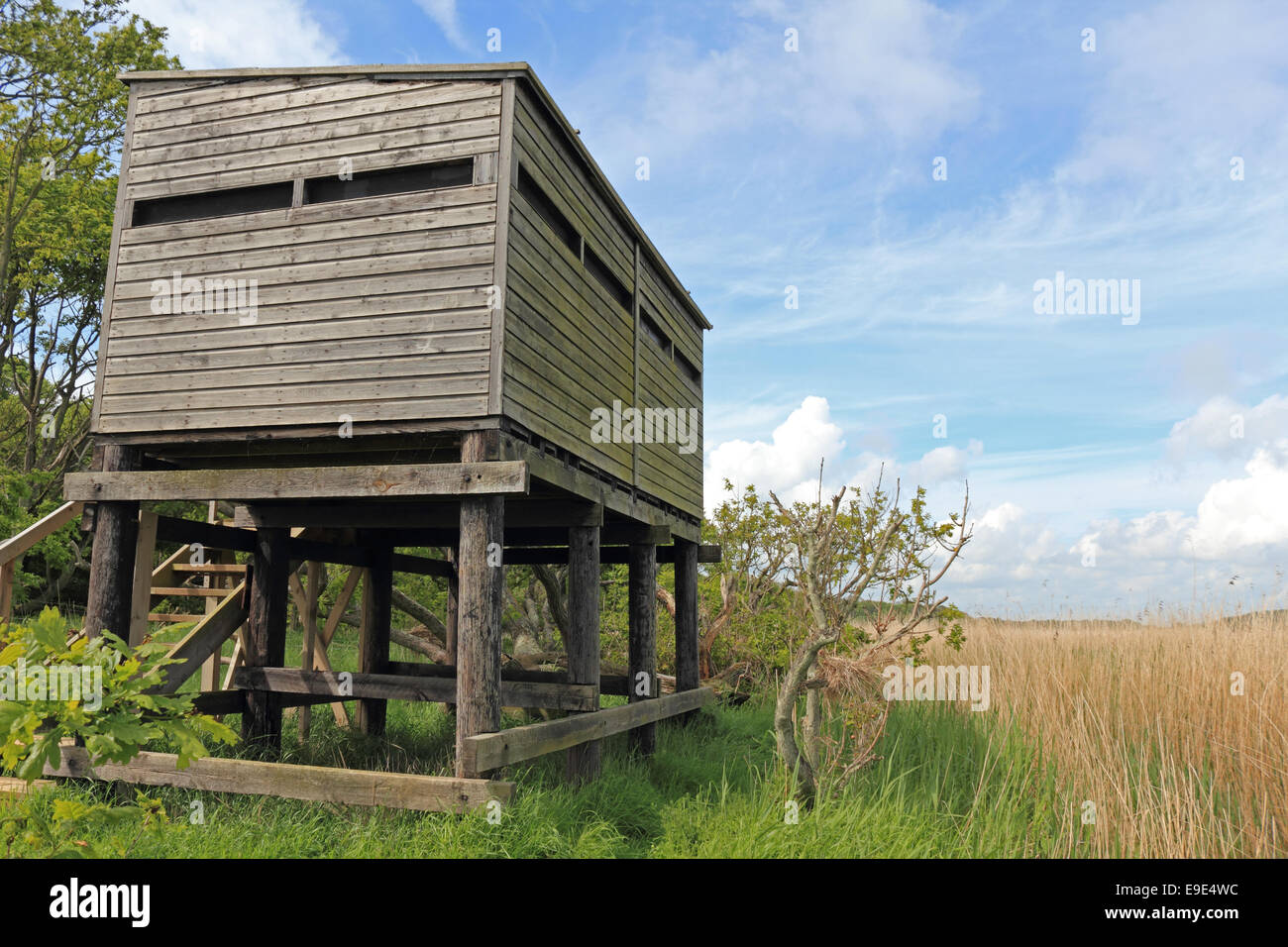 Benacre nature reserve suffolk england hires stock photography and