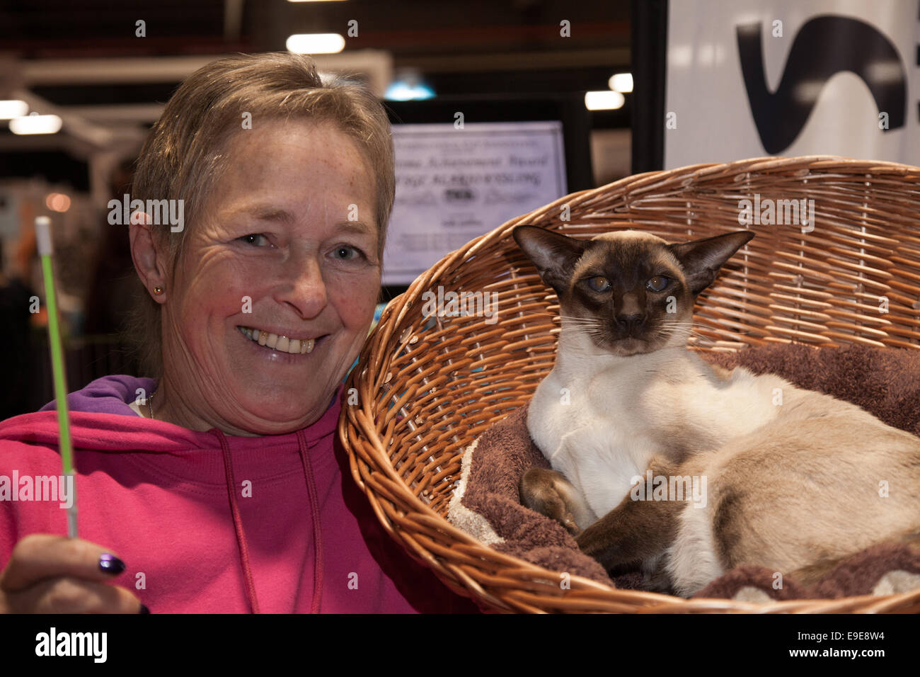 Event City, Manchester, UK 26th October, 2014.  Sally Gibbins, Siamese Cat Breeder at the 15th Best European International Siamese Cat show at the Family Pet Show,Trafford Centre. Stock Photo