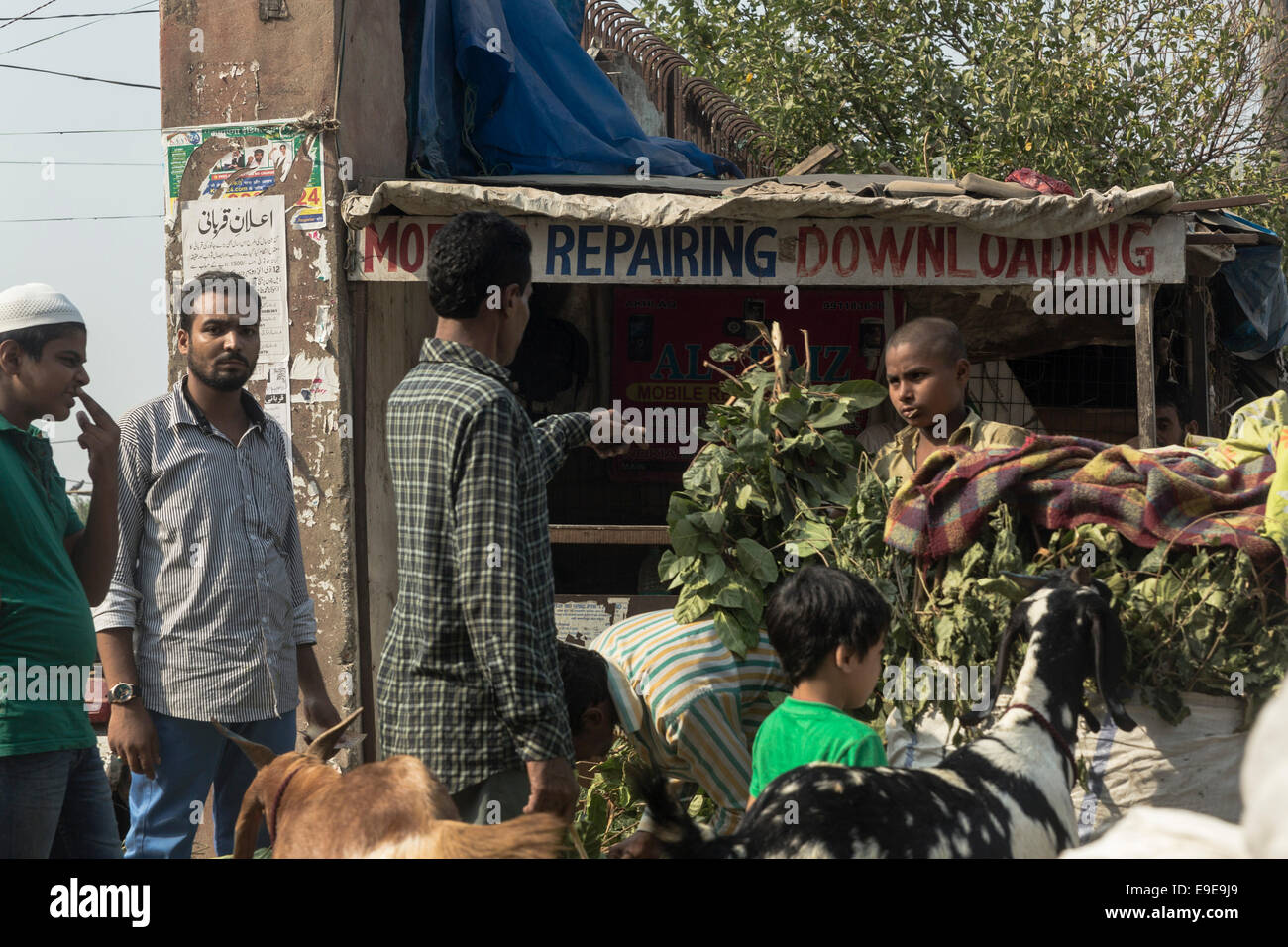 Traffic in Old Delhi, India Stock Photo