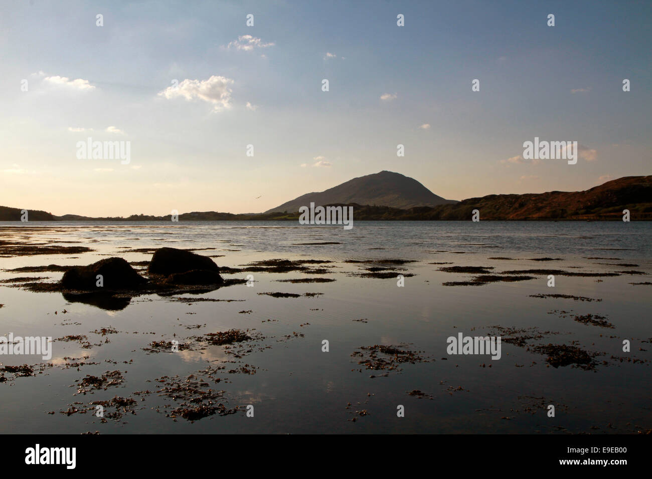 Barnaderg Bay, Ballynakill Harbour, with Tully Mountain in the background, Letterfrack, Connemara, County Galway, Ireland Stock Photo