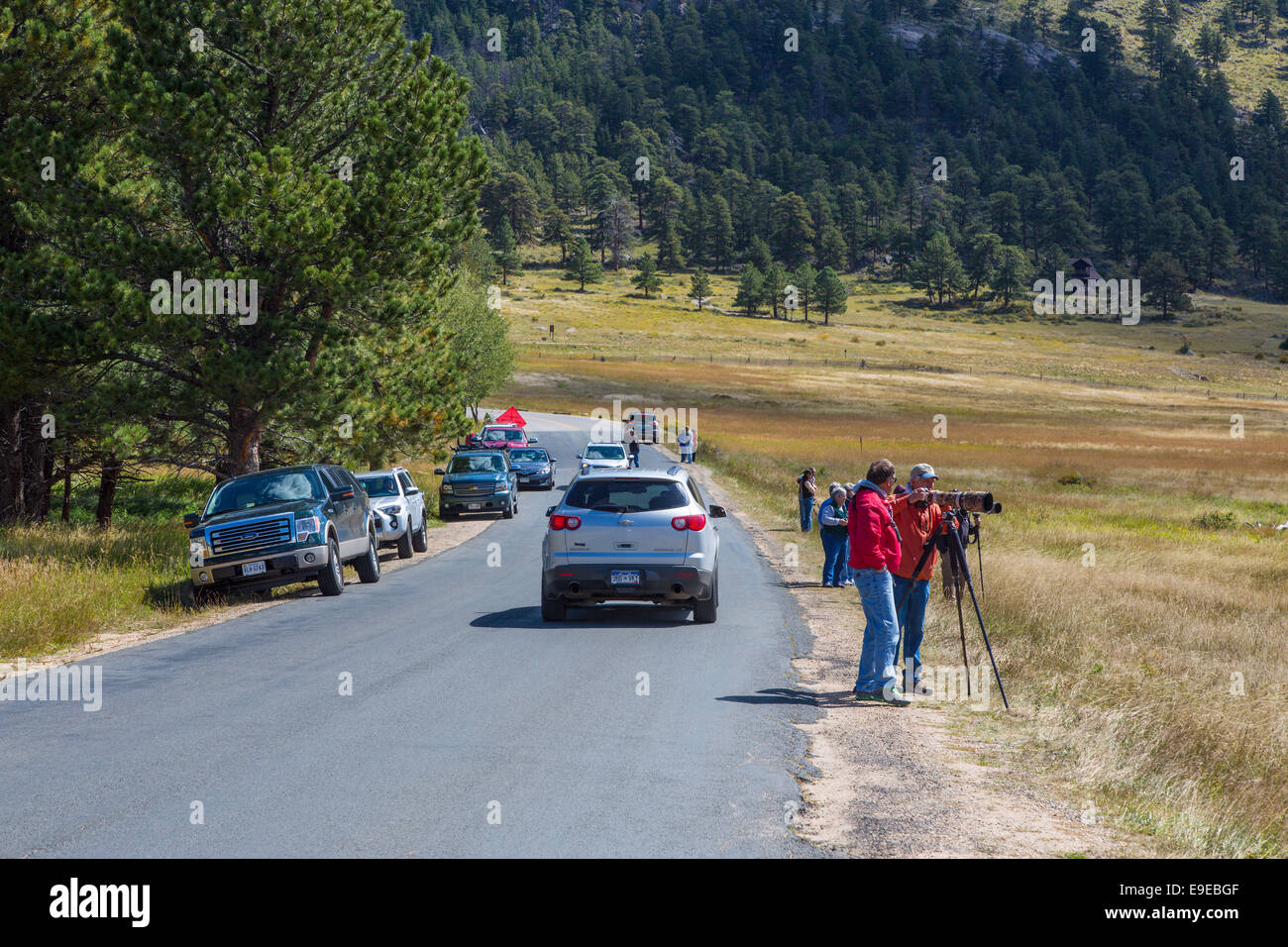 Tourists watching Elk in Moraine Park in Rocky Mountain National Park Colorado Stock Photo