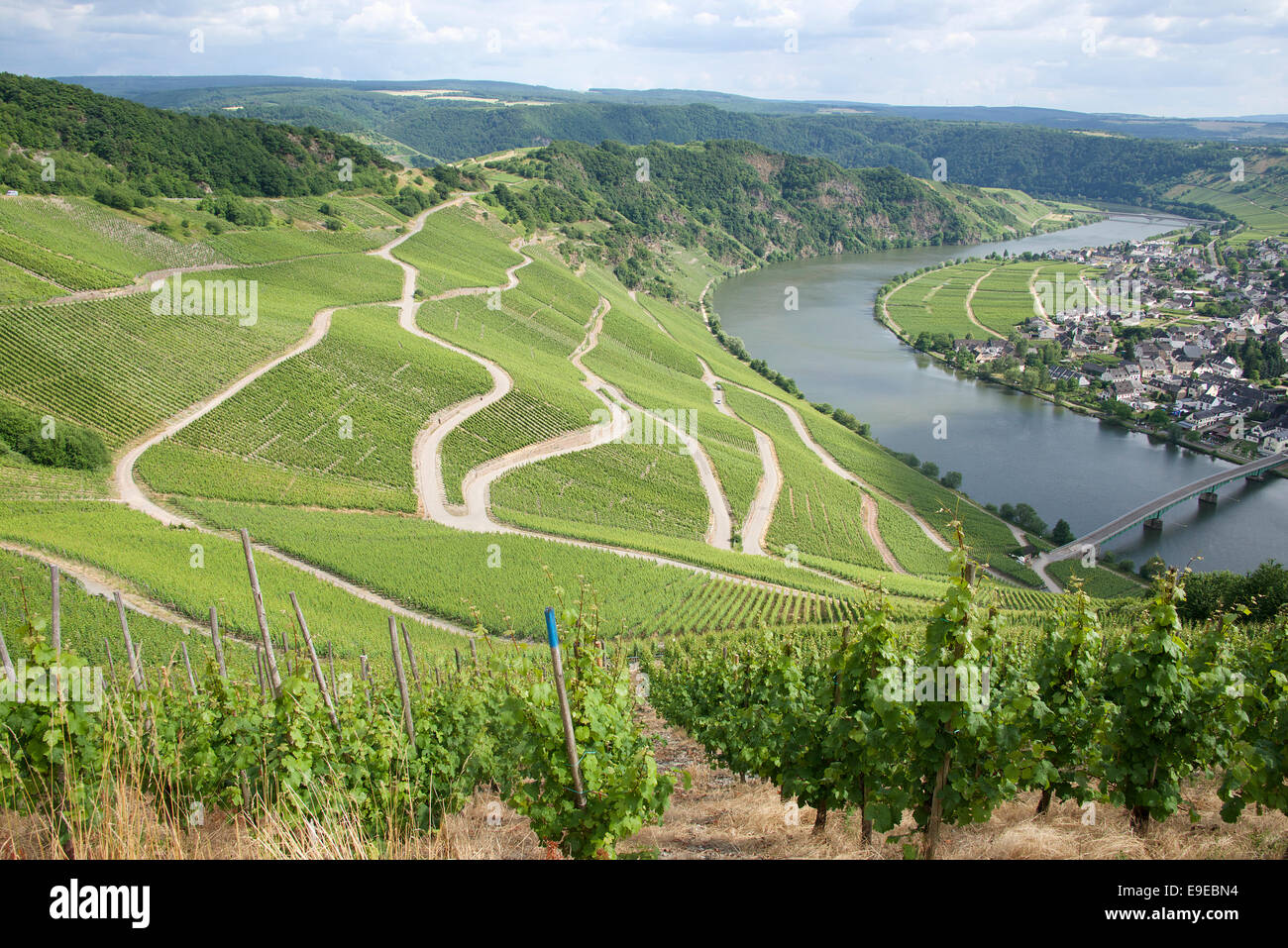 Panoramic view vineyards and Moselle Valley Germany Stock Photo