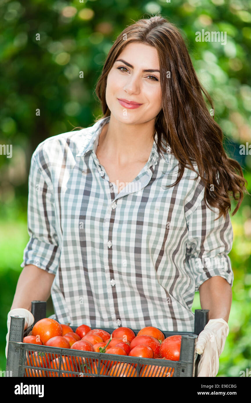 Young Woman hands with gloves holding red tomatoes, working in a