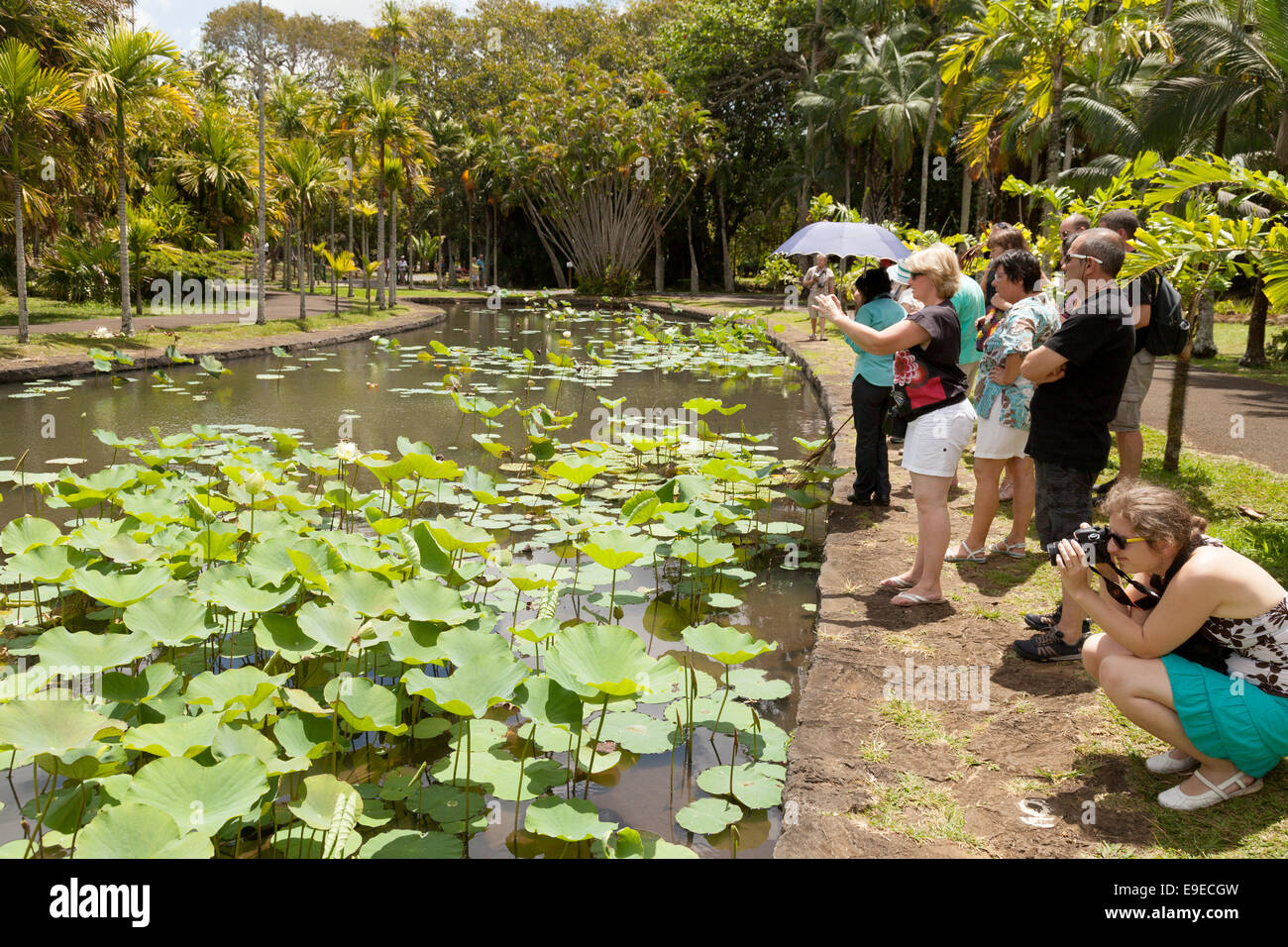 The Sir Seewoosagur Ramgoolam Botanical Gardens, Pamplemousses, Mauritius Stock Photo