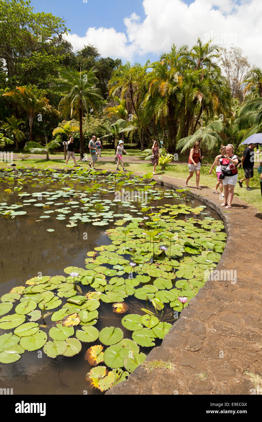 Visitors in the Botanical Gardens, Pamplemousses, Mauritius Stock Photo