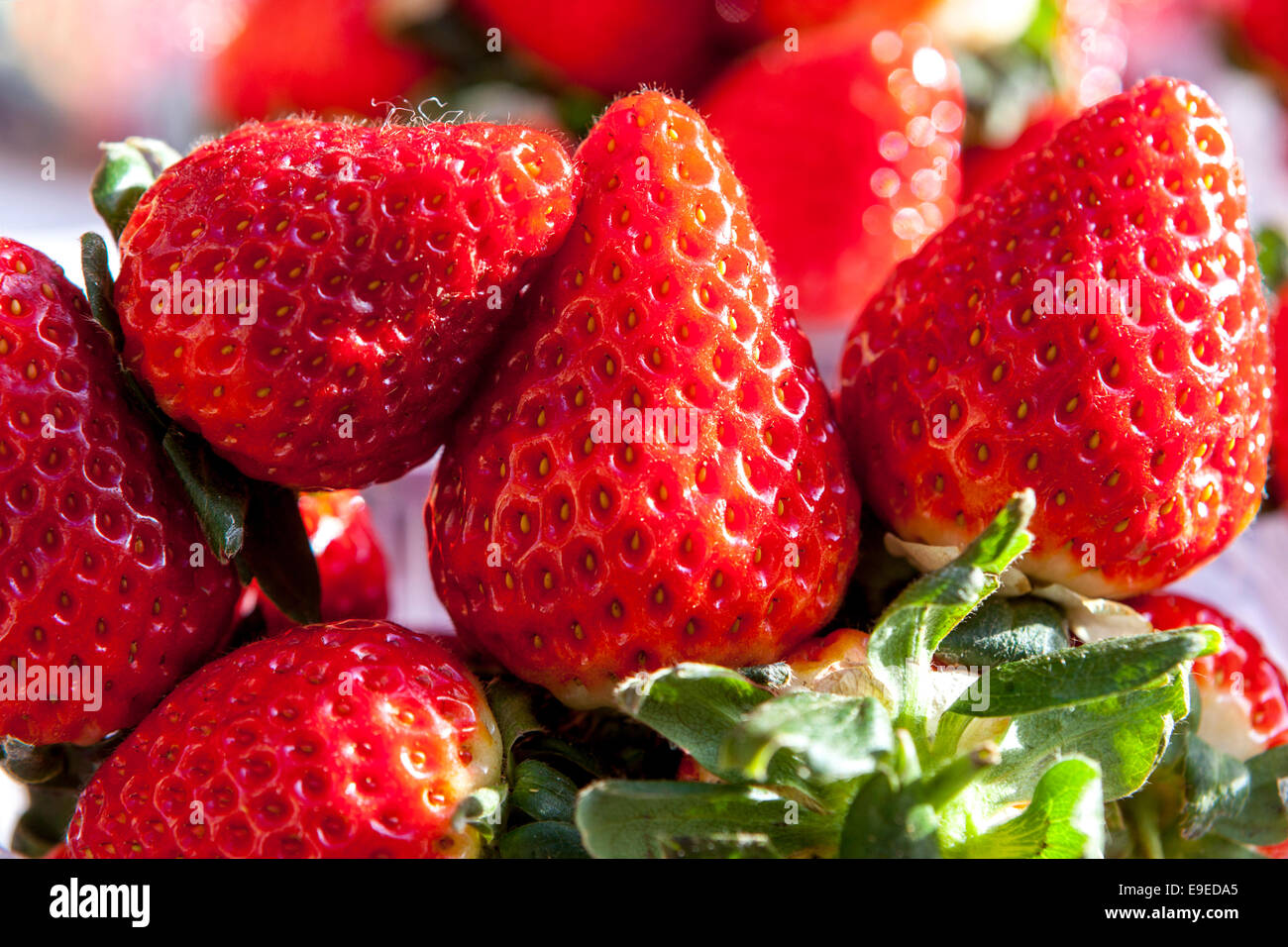 Strawberry close up Delicious fruits Stock Photo