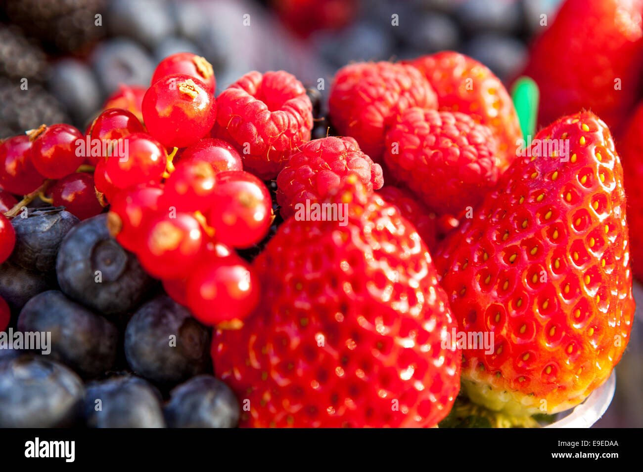 Mixed berries blueberry strawberry currants Juicy Sweet fruits Close up Stock Photo