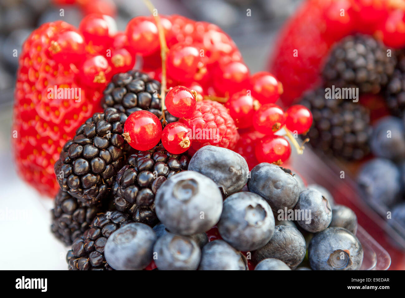 Blueberry Fruits High Resolution Stock Photography and Images Alamy