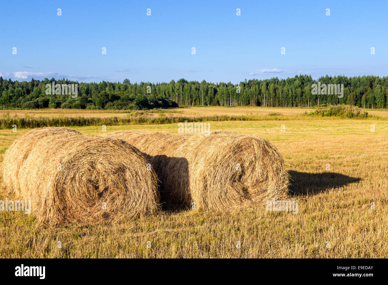 Straw bales on farmland with blue cloudy sky Stock Photo - Alamy