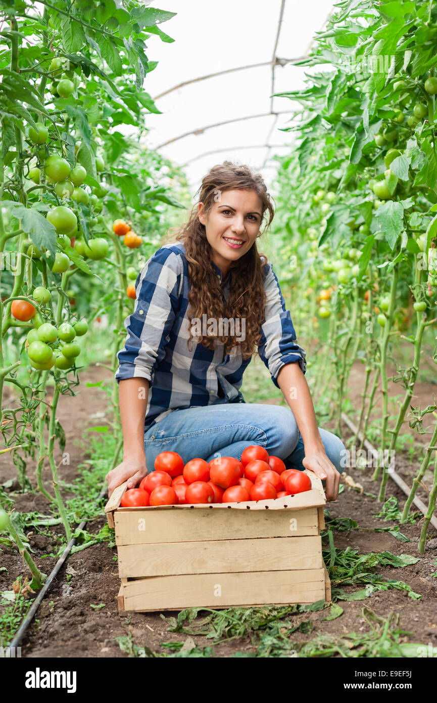 Young smiling agriculture woman worker and a crate of tomatoes in the ...