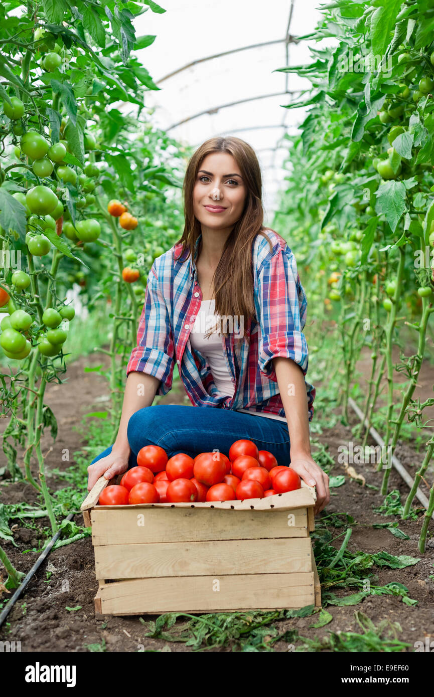 Young smiling agriculture woman worker and a crate of tomatoes in the ...
