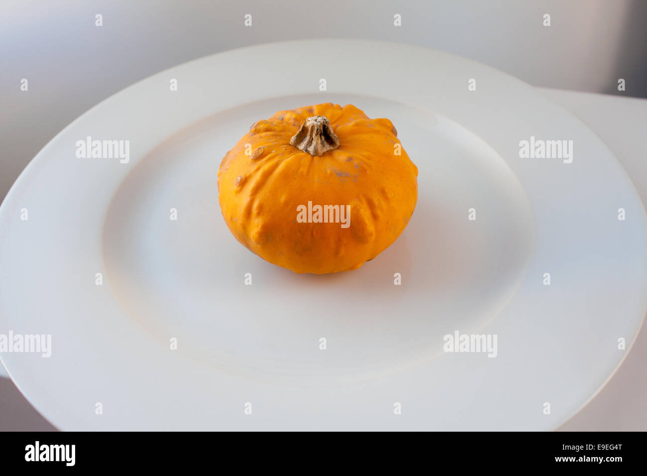 Little Decorative Pumpkins Stock Photo Alamy
