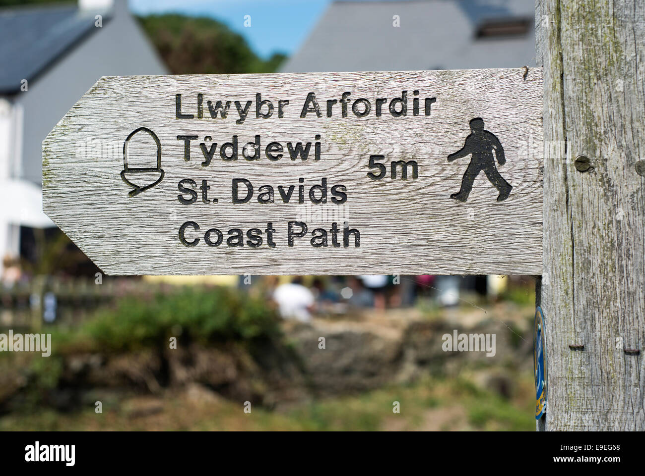 Welsh Signpost Signpost on the South Wales Coast Path near St Davids in Pembrokeshire ...
