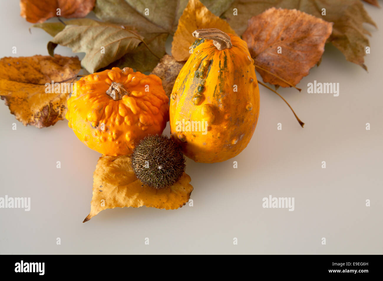 Fruits vegetables in autumn hi-res stock photography and images - Alamy