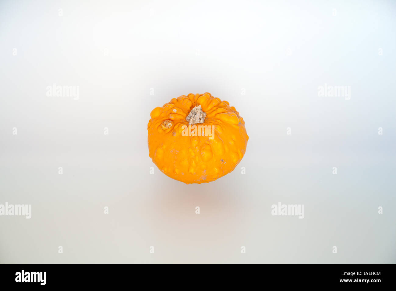 Little Decorative Pumpkins Stock Photo Alamy
