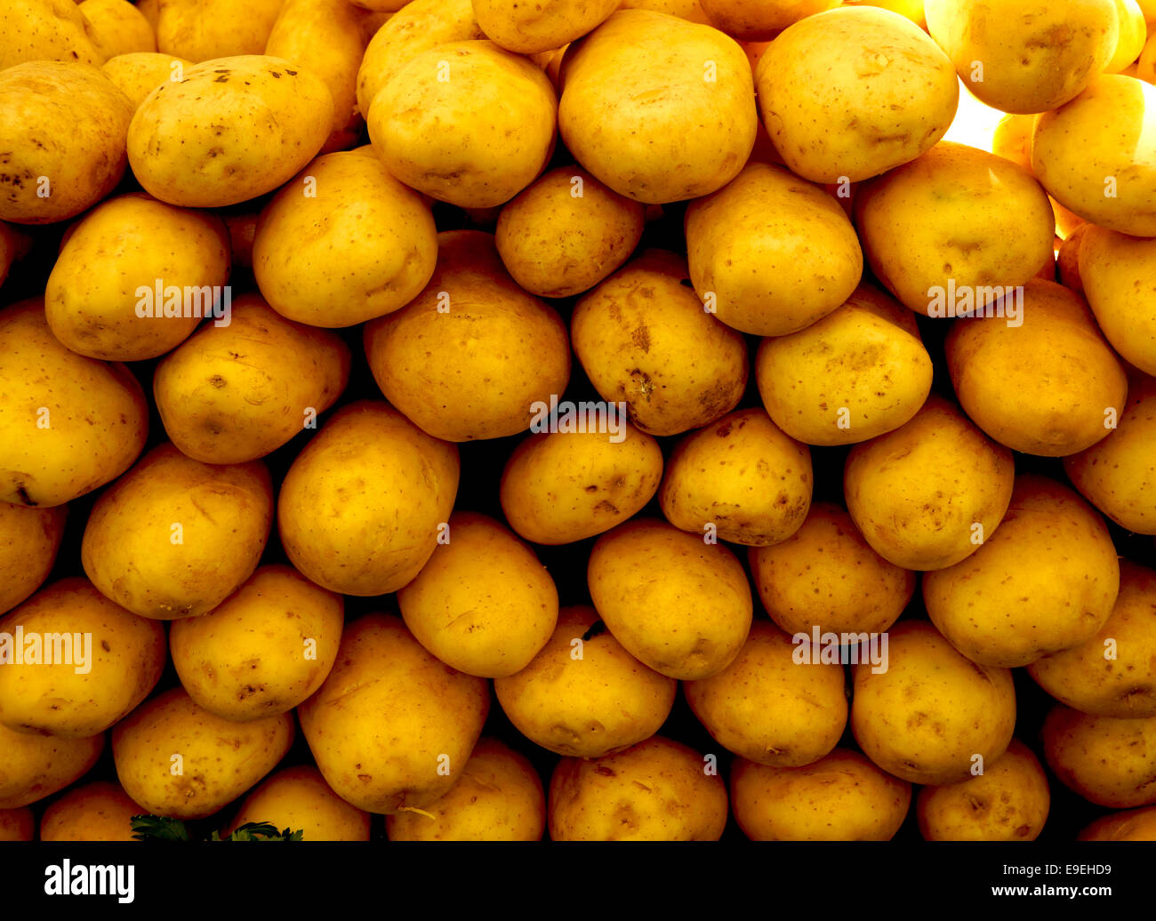 Large white potatoes stacked neatly to attract the shopper - mine are the best, all freshly picked and harvested Stock Photo