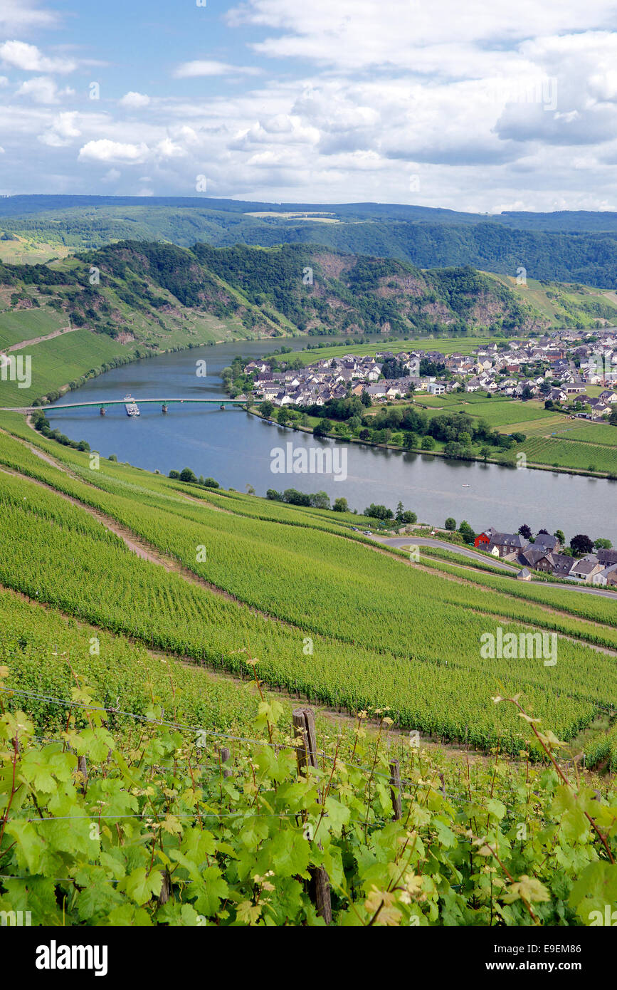 Vineyards and Niederemmel Village Moselle Valley Germany Stock Photo