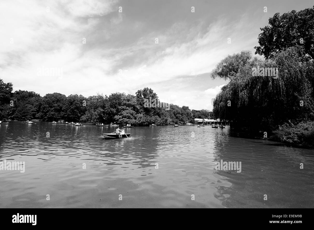Black and white image of Central Park in New York City Stock Photo Alamy