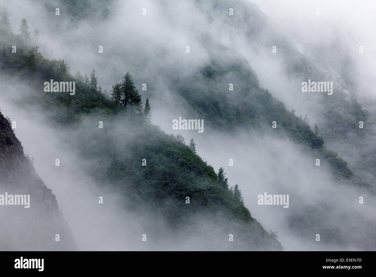 Forested mountain ridges shrouded in fog, Glacier Bay National Park, Southeast Alaska, USA Stock Photo