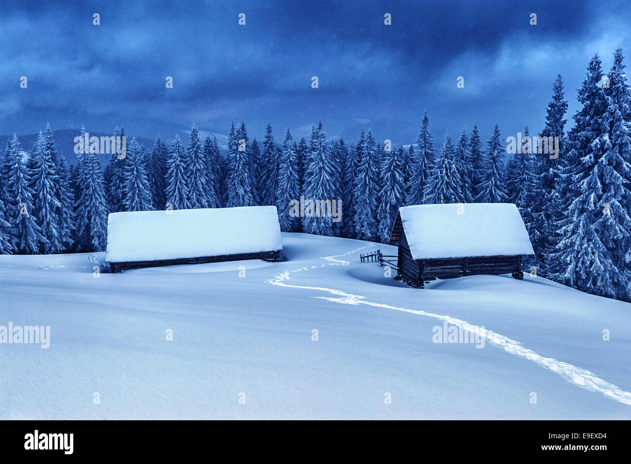 wooden house in winter forest Stock Photo - Alamy