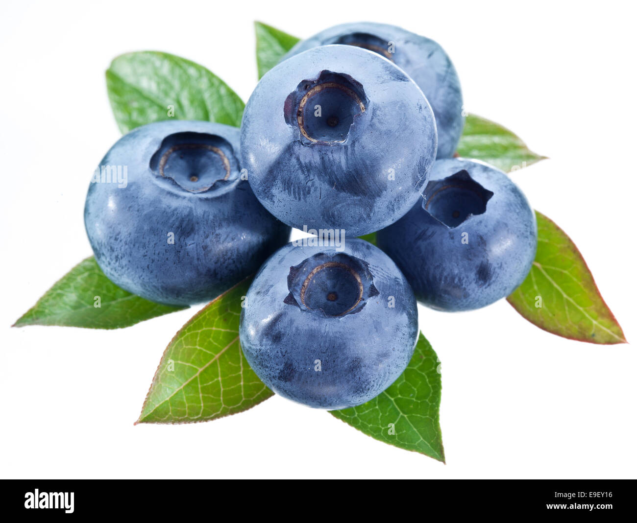 Blueberries with leaves on a white background. Studio isolated. Stock Photo