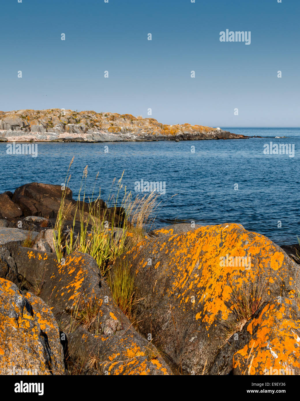 Clear water over lichen hi-res stock photography and images - Alamy
