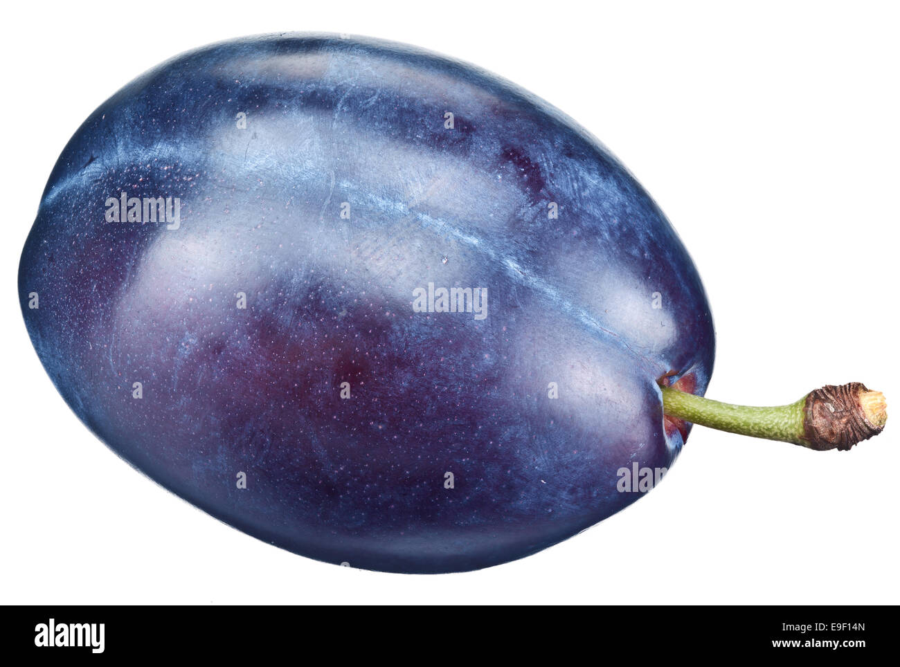 One plum isolated on a white background. Clipping path. Stock Photo