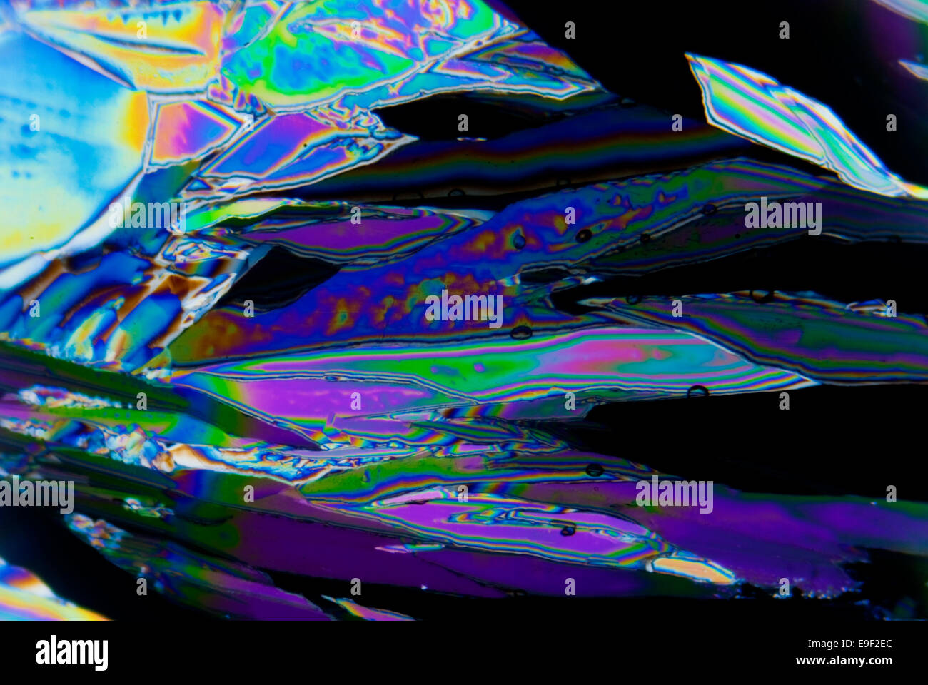 Polarized light microscope hi-res stock photography and images - Alamy