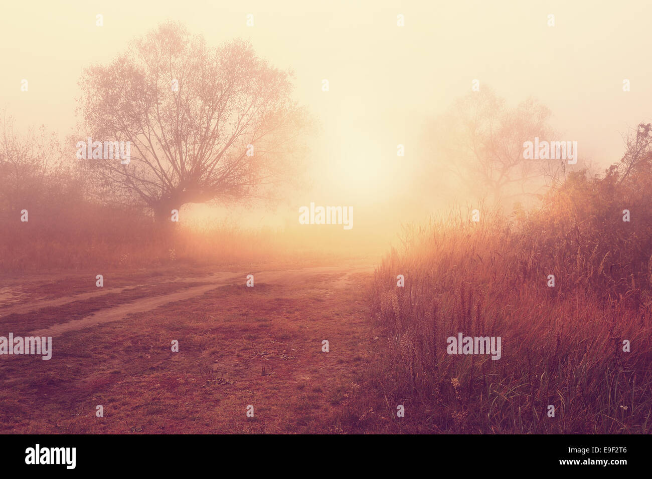 Rural image hi-res stock photography and images - Alamy