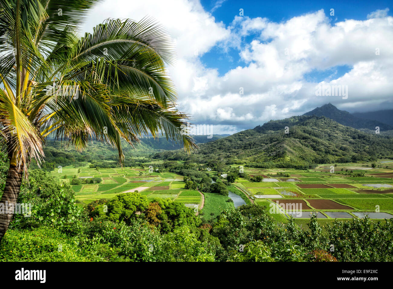 Kauai High Resolution Stock Photography and Images - Alamy