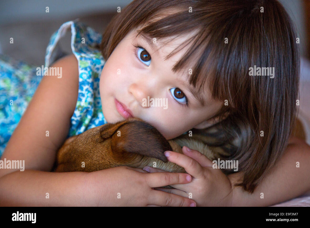 Toddler girl holding her puppy dog Stock Photo