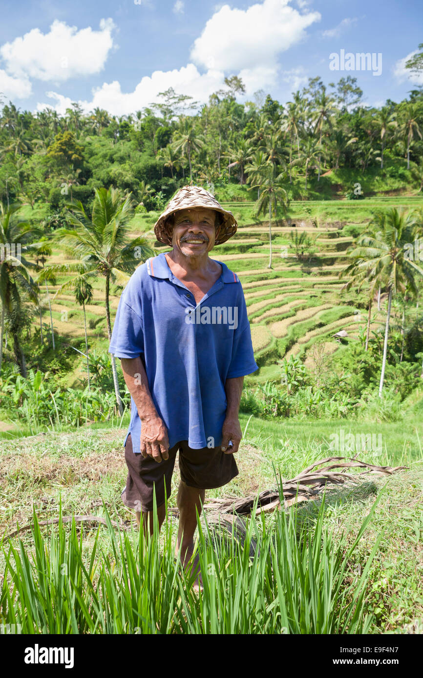 Rice farmer portrait, Bali, Indonesia Stock Photo